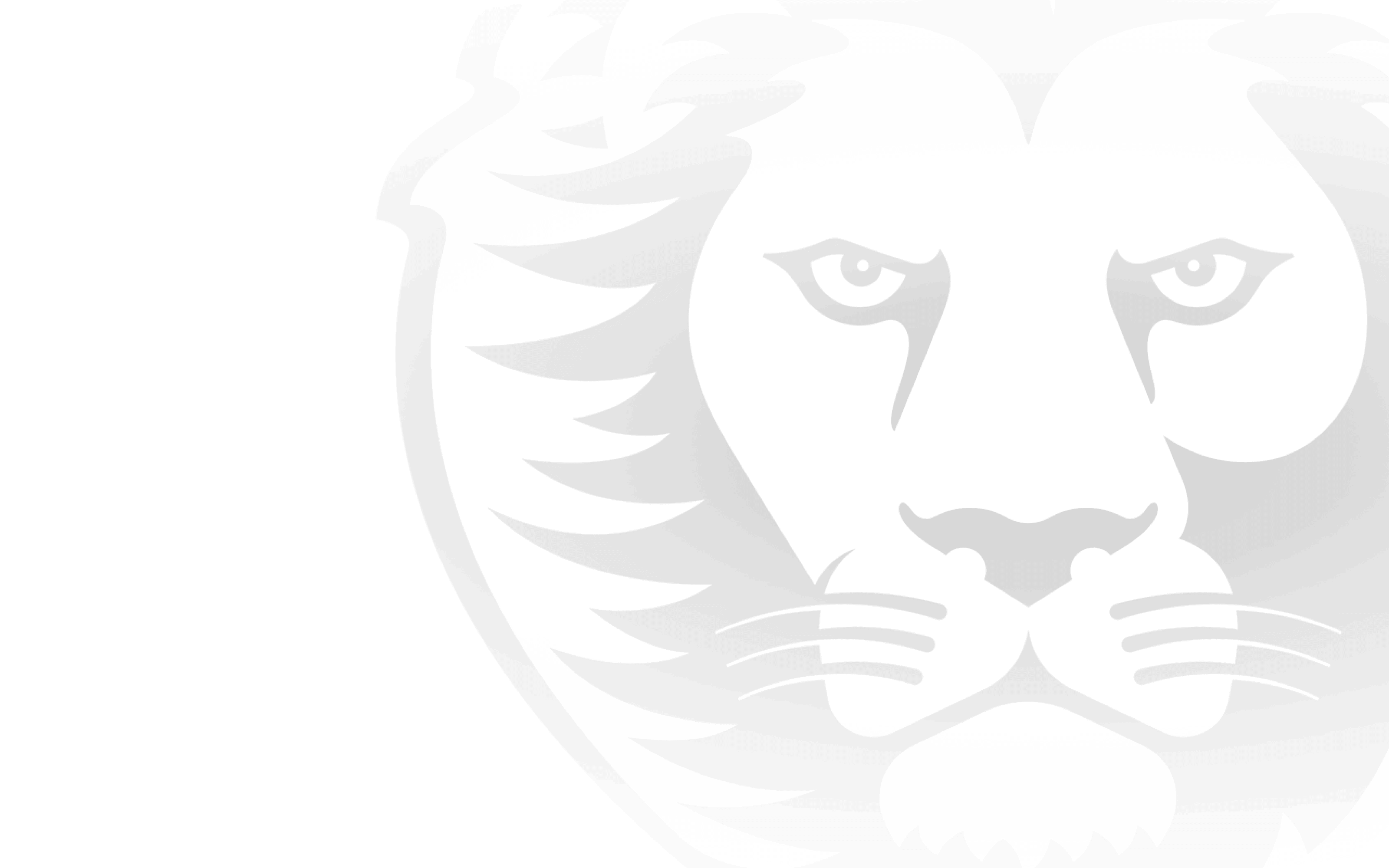 Brisbane Lions